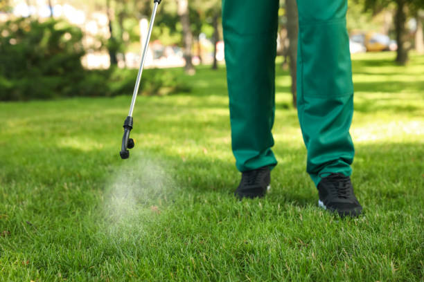 Best Pest Control for Homes  in Crimora, VA