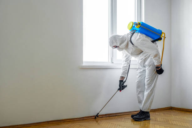 Best Flea Control Services  in Crimora, VA